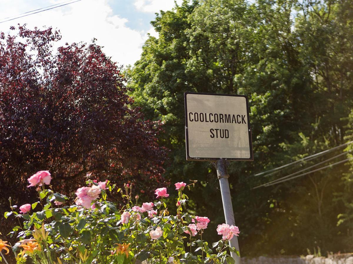 Coolcormack Stud B&B Dungarvan (Waterford) Exterior foto